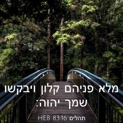 Picture 03 - תהלים 83:16 HEB - מלא פניהם קלון ויבקשו שמך - Bible Verse Picture
