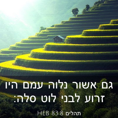 Picture 03 - תהלים 83:8 HEB - גם אשור נלוה עמם היו זרוע - Bible Verse Picture