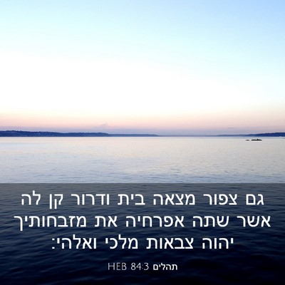 Picture 03 - תהלים 84:3 HEB - גם צפור מצאה בית ודרור קן - Bible Verse Picture