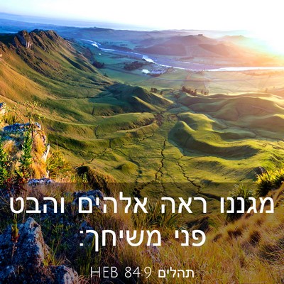 Picture 03 - תהלים 84:9 HEB - מגננו ראה אלהים והבט פני - Bible Verse Picture