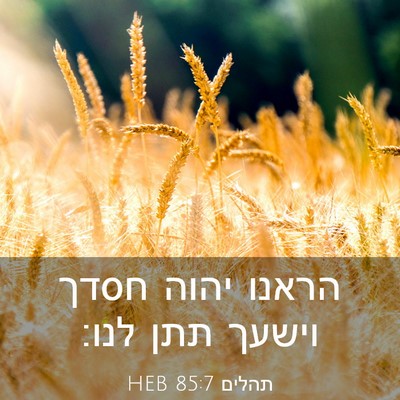 Picture 03 - תהלים 85:7 HEB - הראנו יהוה חסדך וישעך תתן - Bible Verse Picture