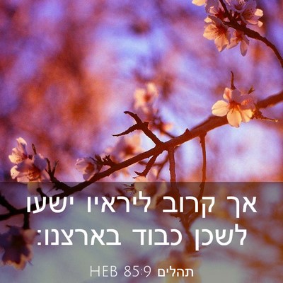 Picture 03 - תהלים 85:9 HEB - אך קרוב ליראיו ישעו לשכן - Bible Verse Picture