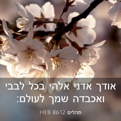Picture 03 - תהלים 86:12 HEB - אודך אדני אלהי בכל לבבי - Bible Verse Picture