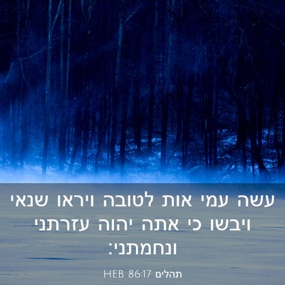 Picture 03 - תהלים 86:17 HEB - עשה עמי אות לטובה ויראו - Bible Verse Picture