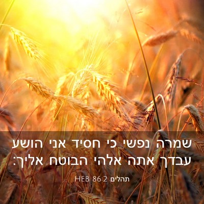 Picture 03 - תהלים 86:2 HEB - שמרה נפשי כי חסיד אני הושע - Bible Verse Picture