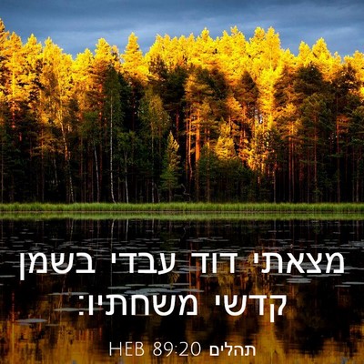 Picture 03 - תהלים 89:20 HEB - מצאתי דוד עבדי בשמן קדשי - Bible Verse Picture