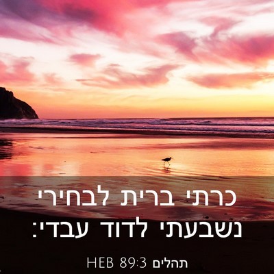 Picture 03 - תהלים 89:3 HEB - כרתי ברית לבחירי נשבעתי - Bible Verse Picture