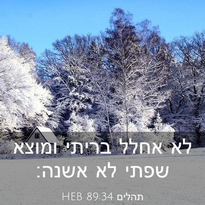 Picture 03 - תהלים 89:34 HEB - לא אחלל בריתי ומוצא שפתי לא - Bible Verse Picture