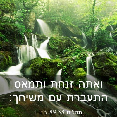 Picture 03 - תהלים 89:38 HEB - ואתה זנחת ותמאס התעברת עם - Bible Verse Picture