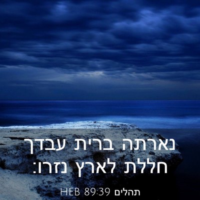 Picture 03 - תהלים 89:39 HEB - נארתה ברית עבדך חללת לארץ - Bible Verse Picture