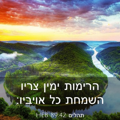 Picture 03 - תהלים 89:42 HEB - הרימות ימין צריו השמחת כל - Bible Verse Picture