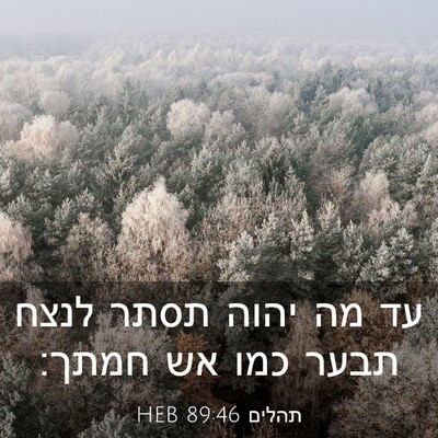 Picture 03 - תהלים 89:46 HEB - עד מה יהוה תסתר לנצח תבער - Bible Verse Picture
