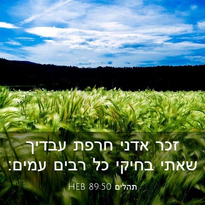 Picture 03 - תהלים 89:50 HEB - זכר אדני חרפת עבדיך שאתי - Bible Verse Picture