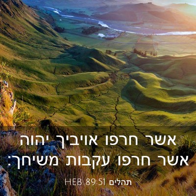 Picture 03 - תהלים 89:51 HEB - אשר חרפו אויביך יהוה אשר - Bible Verse Picture