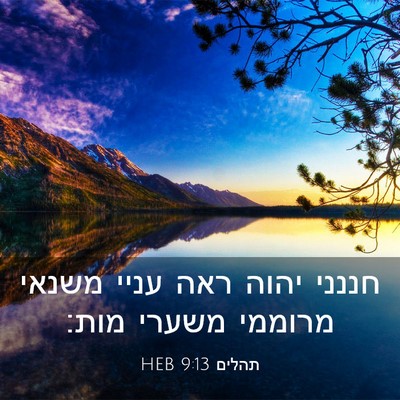 Picture 03 - תהלים 9:13 HEB - חננני יהוה ראה עניי משנאי - Bible Verse Picture