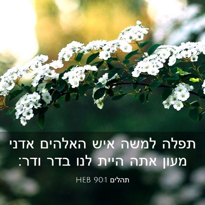 Picture 03 - תהלים 90:1 HEB - תפלה למשה איש האלהים אדני - Bible Verse Picture