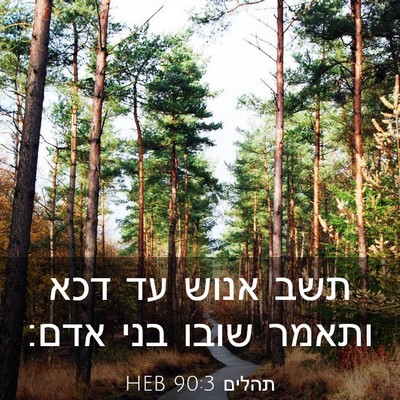 Picture 03 - תהלים 90:3 HEB - תשב אנוש עד דכא ותאמר שובו - Bible Verse Picture