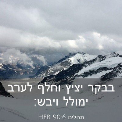 Picture 03 - תהלים 90:6 HEB - בבקר יציץ וחלף לערב ימולל - Bible Verse Picture