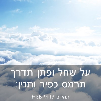 Picture 03 - תהלים 91:13 HEB - על שחל ופתן תדרך תרמס כפיר - Bible Verse Picture