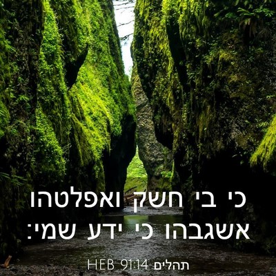 Picture 03 - תהלים 91:14 HEB - כי בי חשק ואפלטהו אשגבהו כי - Bible Verse Picture