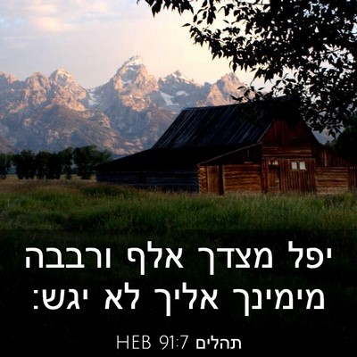 Picture 03 - תהלים 91:7 HEB - יפל מצדך אלף ורבבה מימינך - Bible Verse Picture