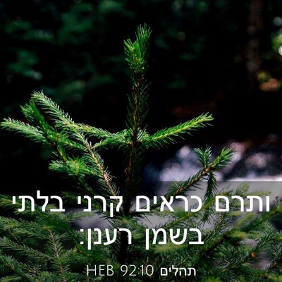 Picture 03 - תהלים 92:10 HEB - ותרם כראים קרני בלתי בשמן - Bible Verse Picture