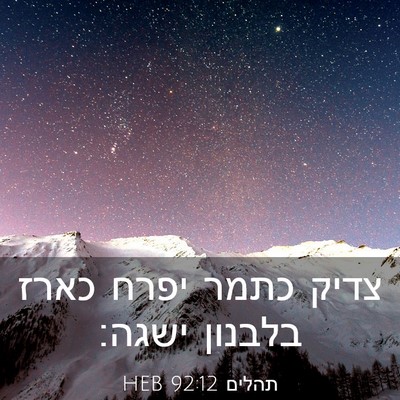 Picture 03 - תהלים 92:12 HEB - צדיק כתמר יפרח כארז בלבנון - Bible Verse Picture