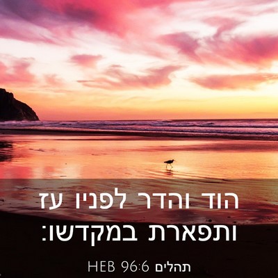 Picture 03 - תהלים 96:6 HEB - הוד והדר לפניו עז ותפארת - Bible Verse Picture