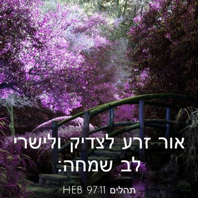 Picture 03 - תהלים 97:11 HEB - אור זרע לצדיק ולישרי לב - Bible Verse Picture