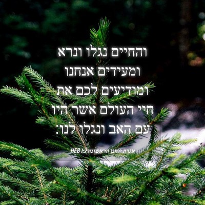 Picture 04 - אגרת יוחנן הראשונה 1:2 HEB - והחיים נגלו ונרא ומעידים - Bible Verse Picture