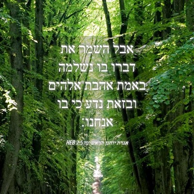 Picture 04 - אגרת יוחנן הראשונה 2:5 HEB - אבל השמר את דברו בו נשלמה - Bible Verse Picture