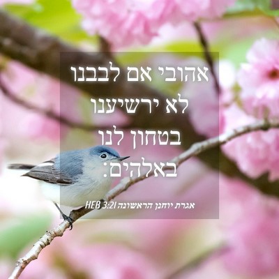 Picture 04 - אגרת יוחנן הראשונה 3:21 HEB - אהובי אם לבבנו לא ירשיענו - Bible Verse Picture