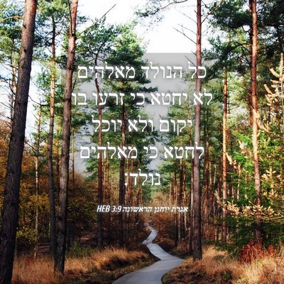 Picture 04 - אגרת יוחנן הראשונה 3:9 HEB - כל הנולד מאלהים לא יחטא כי - Bible Verse Picture