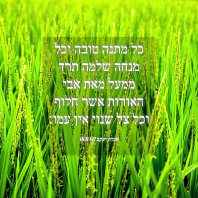 Picture 04 - אגרת יעקב 1:17 HEB - כל מתנה טובה וכל מנחה שלמה - Bible Verse Picture