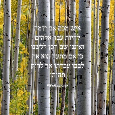 Picture 04 - אגרת יעקב 1:26 HEB - איש מכם אם ידמה להיות עבד - Bible Verse Picture