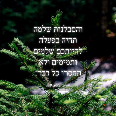 Picture 04 - אגרת יעקב 1:4 HEB - והסבלנות שלמה תהיה בפעלה - Bible Verse Picture