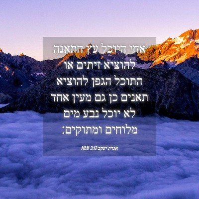 Picture 04 - אגרת יעקב 3:12 HEB - אחי היוכל עץ התאנה להוציא - Bible Verse Picture