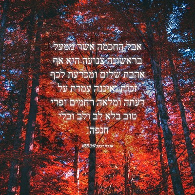 Picture 04 - אגרת יעקב 3:17 HEB - אבל החכמה אשר ממעל בראשונה - Bible Verse Picture