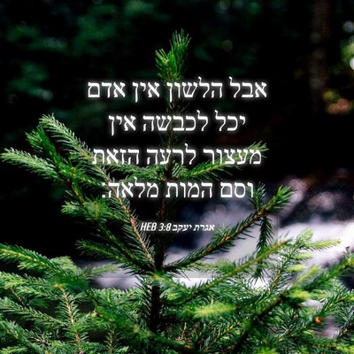 Picture 04 - אגרת יעקב 3:8 HEB - אבל הלשון אין אדם יכל לכבשה - Bible Verse Picture