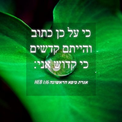 Picture 04 - אגרת כיפא הראשונה 1:16 HEB - כי על כן כתוב והייתם קדשים - Bible Verse Picture