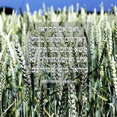 Picture 04 - אגרת כיפא הראשונה 1:17 HEB - ואם אב תקראו לאלהים השפט - Bible Verse Picture
