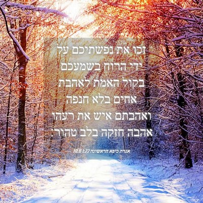 Picture 04 - אגרת כיפא הראשונה 1:22 HEB - זכו את נפשתיכם על ידי הרוח - Bible Verse Picture