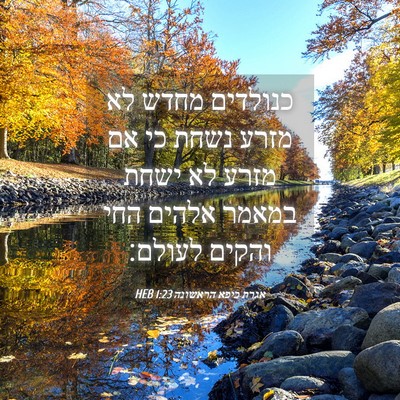 Picture 04 - אגרת כיפא הראשונה 1:23 HEB - כנולדים מחדש לא מזרע נשחת - Bible Verse Picture