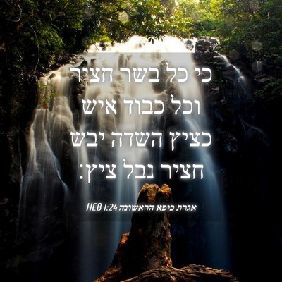 Picture 04 - אגרת כיפא הראשונה 1:24 HEB - כי כל בשר חציר וכל כבוד איש - Bible Verse Picture