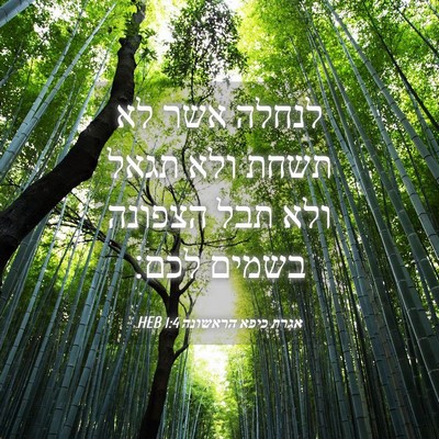 Picture 04 - אגרת כיפא הראשונה 1:4 HEB - לנחלה אשר לא תשחת ולא תגאל - Bible Verse Picture