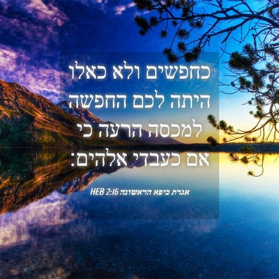 Picture 04 - אגרת כיפא הראשונה 2:16 HEB - כחפשים ולא כאלו היתה לכם - Bible Verse Picture
