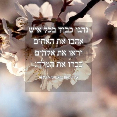 Picture 04 - אגרת כיפא הראשונה 2:17 HEB - נהגו כבוד בכל איש אהבו את - Bible Verse Picture