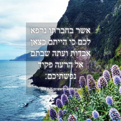 Picture 04 - אגרת כיפא הראשונה 2:25 HEB - אשר בחברתו נרפא לכם כי - Bible Verse Picture