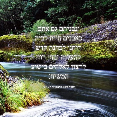 Picture 04 - אגרת כיפא הראשונה 2:5 HEB - ונבניתם גם אתם כאבנים חיות - Bible Verse Picture