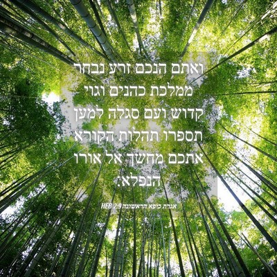 Picture 04 - אגרת כיפא הראשונה 2:9 HEB - ואתם הנכם זרע נבחר ממלכת - Bible Verse Picture